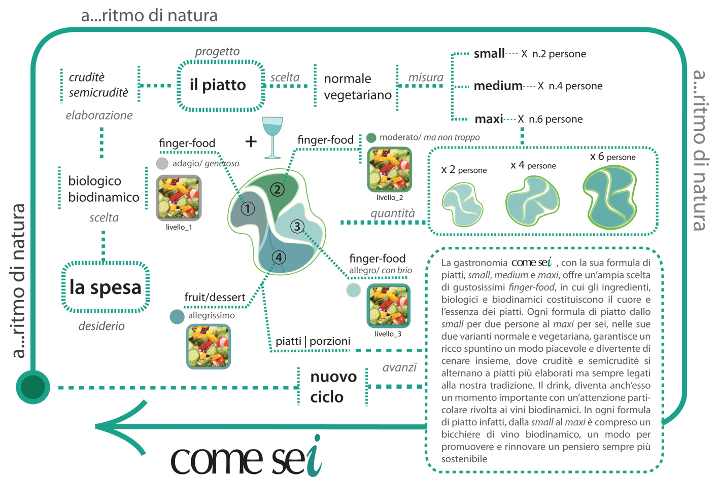 ciclo