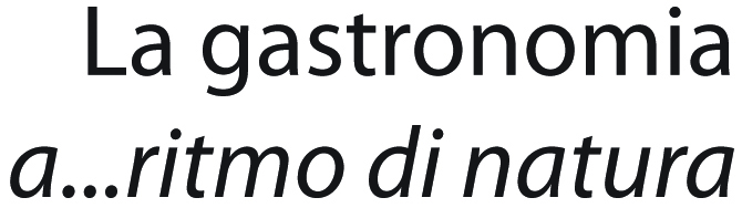 gastronomia